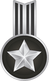 silver medal